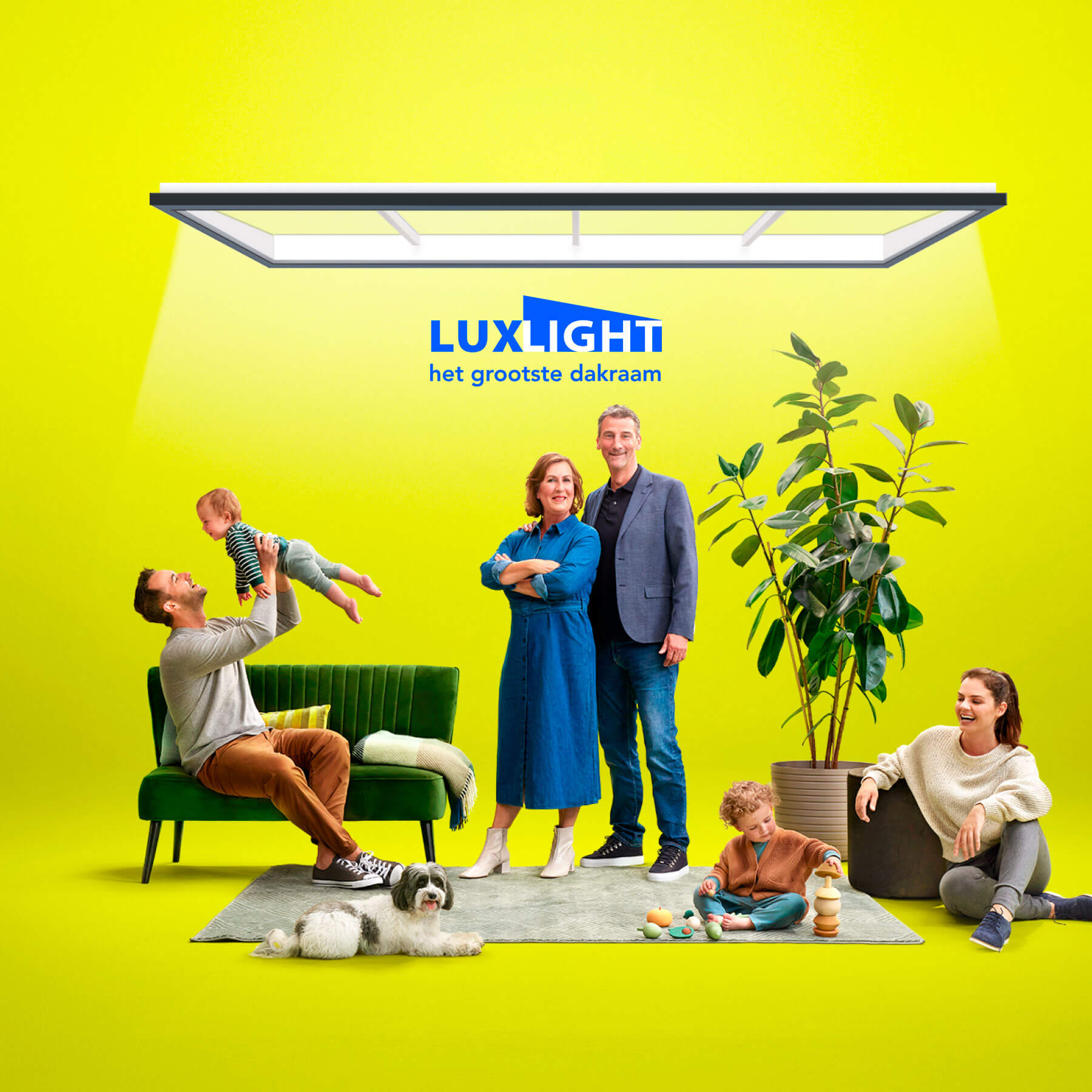 Luxlight cover image